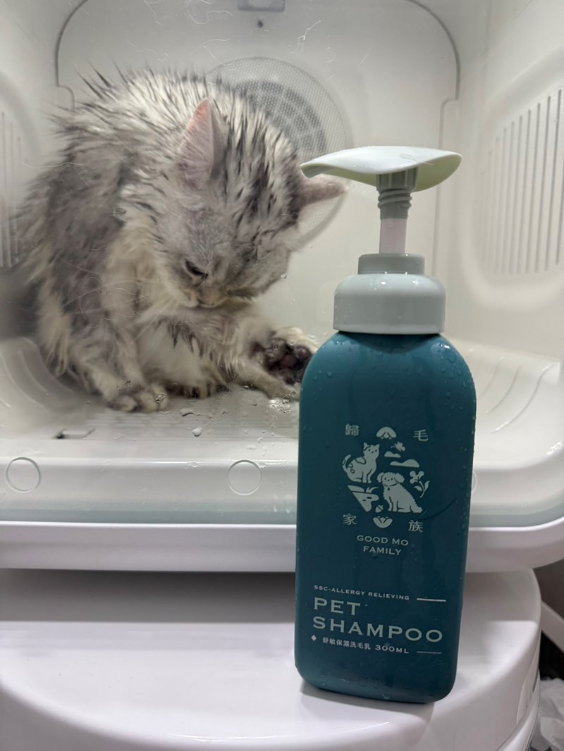 女人知己試用大隊,口碑行銷,部落客行銷,Goodmofamily歸毛家族 寵物肌膚救星組,歸毛家族 寵物肌膚救星,舒敏保濕洗毛乳,護膚噴液,精萃營養霜,博士30年生技專業,給足皮膚營養保護力,無抗生素 無類固醇,神經醯胺,19種綜合胺基酸,榮獲SNQ國家認證,上萬毛爸媽見證,3週幫助皮膚健康,NO.1寵物肌膚口碑霸主,寵物第一護膚領導品牌